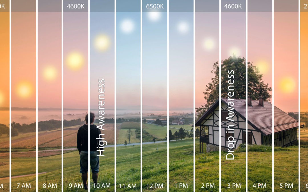 Chiếu sáng "Lấy con người làm trung tâm" (Human-Centric Lighting)