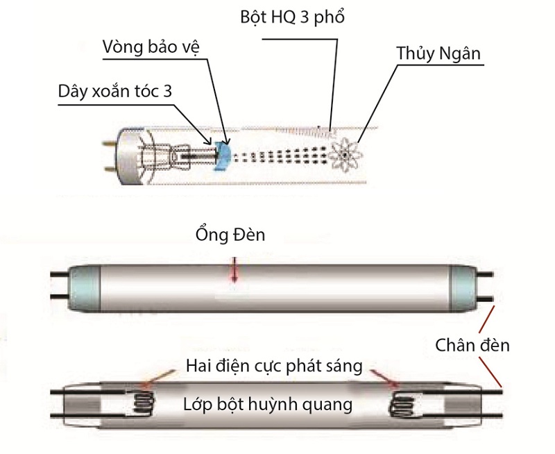 Cấu tạo đui đèn LED tube